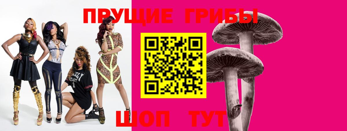 закладка  Вход с VPN  Сосновый Бор  Галлюциногенные грибы Cubensis 